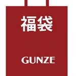 GUNZE 压力袜福袋 4双 两款可选